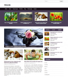 Yegor theme WordPress