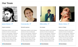 Our Team by WooThemes