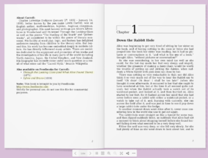 dFlip PDF Flipbook