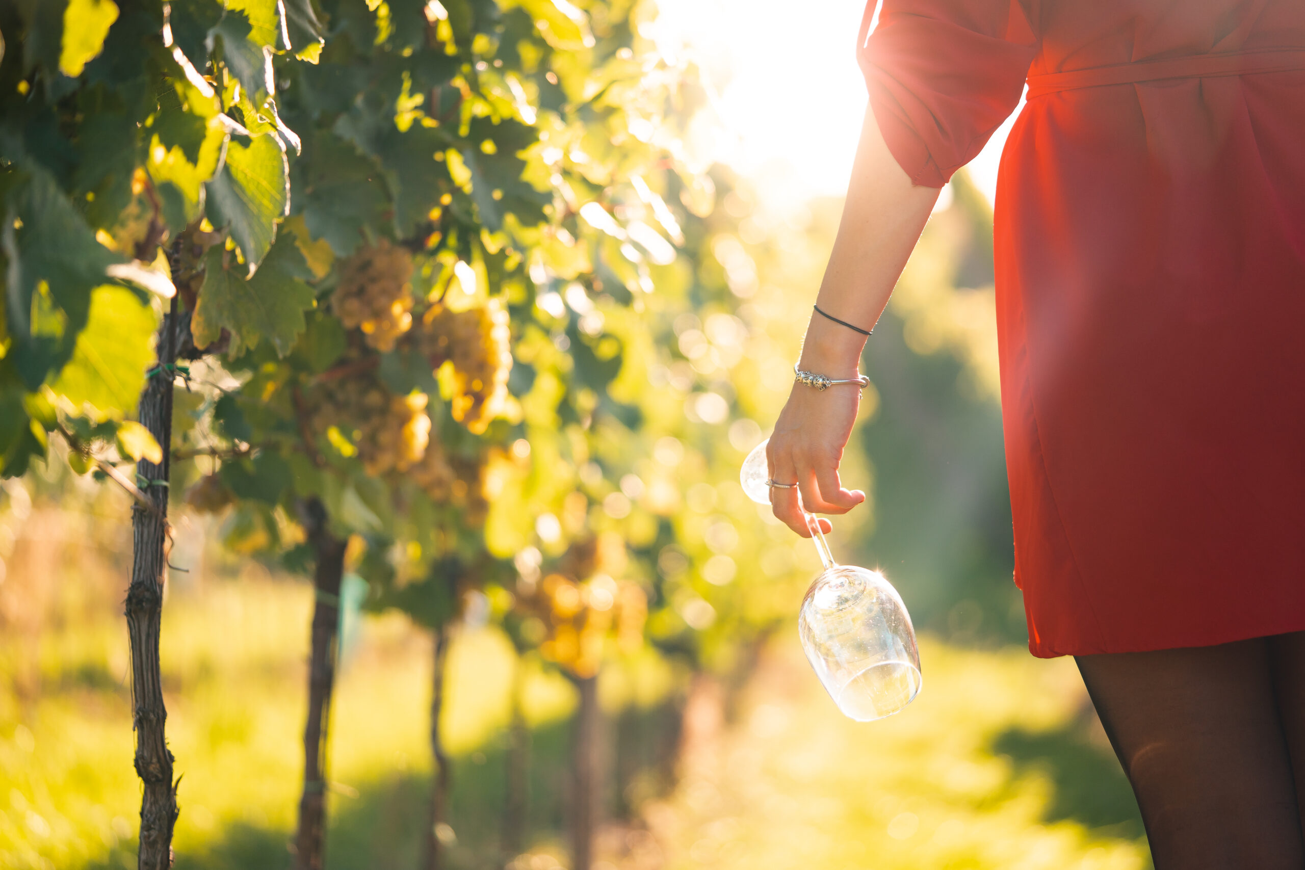 woman-holding-a-wine-glass-in-a-vineyard-picjumbo-com