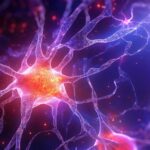 brain-cell-picjumbo-com