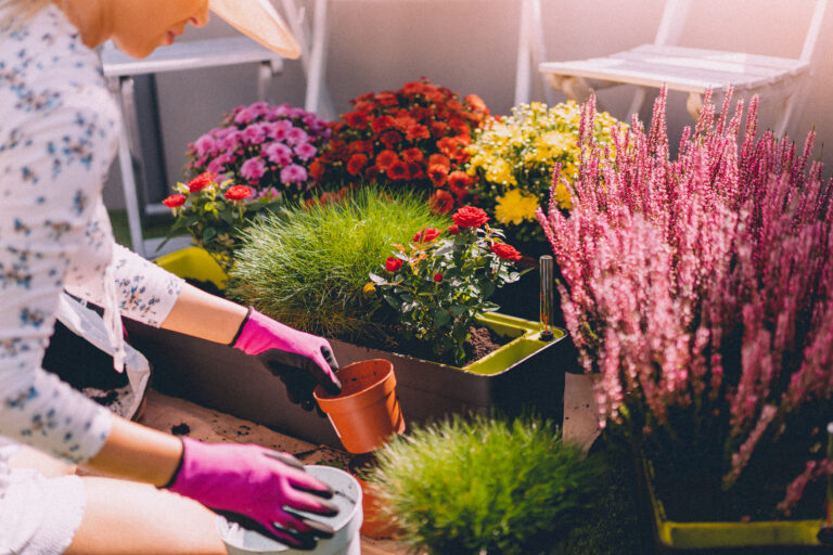 woman-repotting-flowers-picjumbo-com