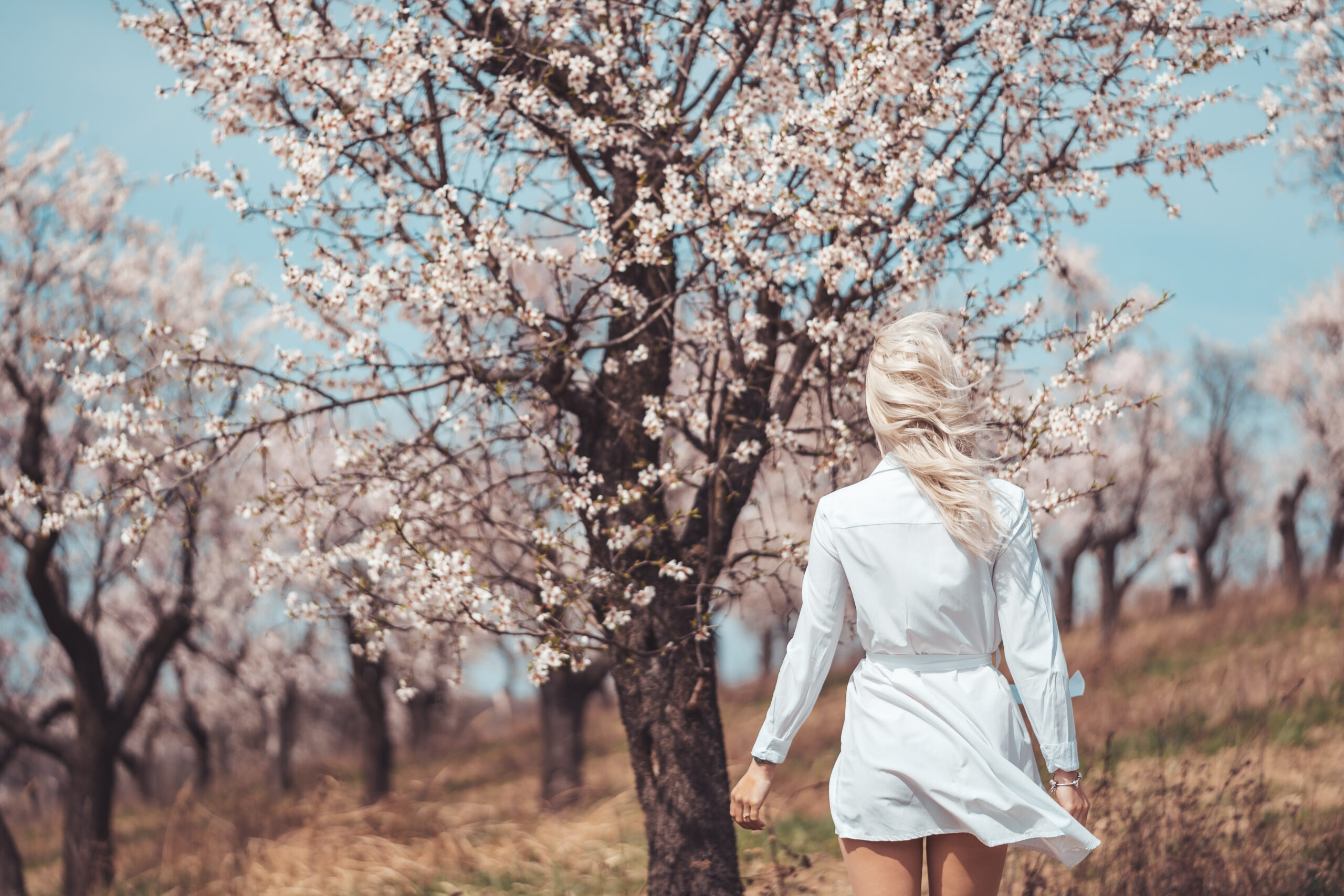 young-woman-walking-in-an-almond-orchard-picjumbo-com