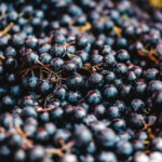 fresh-dark-blue-grape-picjumbo-com