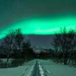 cross-country-skiing-trail-with-northernlights-vertical-picjumbo-com