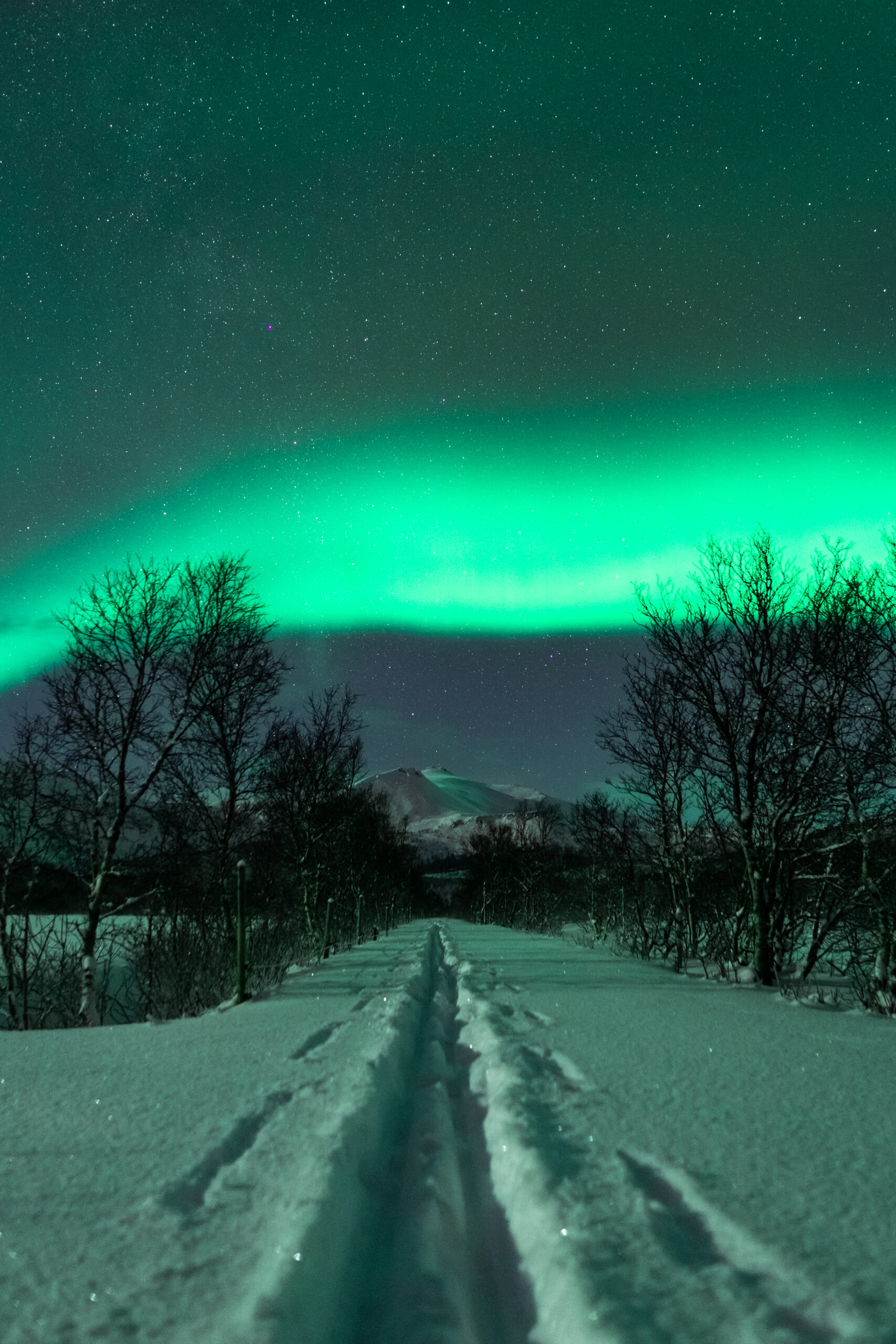 cross-country-skiing-trail-with-northernlights-vertical-picjumbo-com