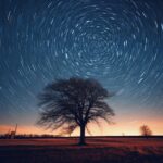long-exposure-photo-of-the-starry-sky-picjumbo-com
