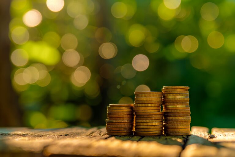 coins-on-wooden-surface-with-natural-background-picjumbo-com