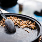 fried-caterpillars-traditional-exotic-asian-food-picjumbo-com